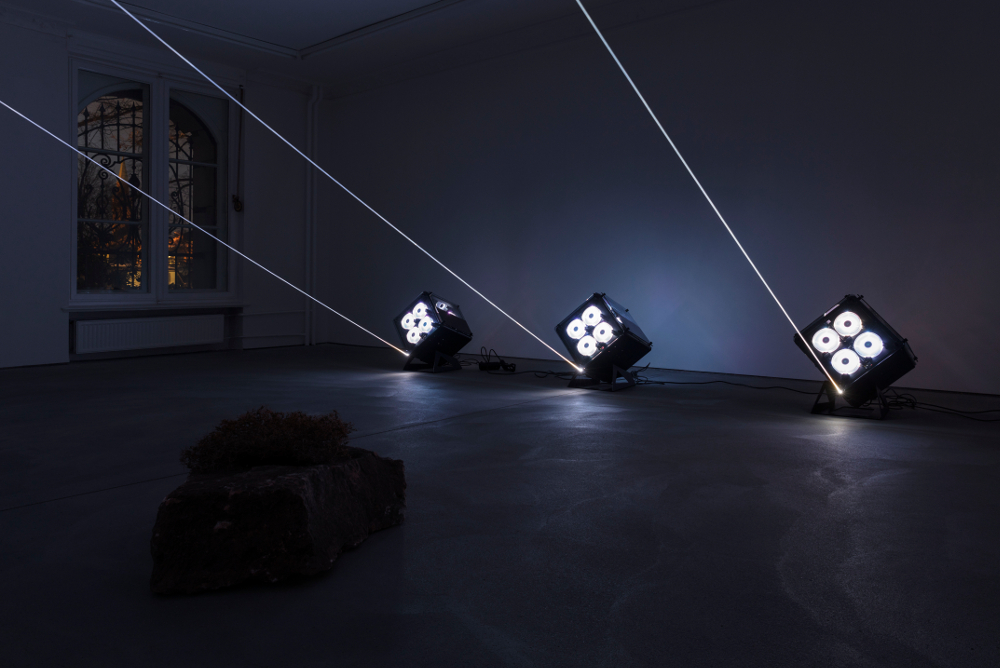 Art this month: Emotions and ecology