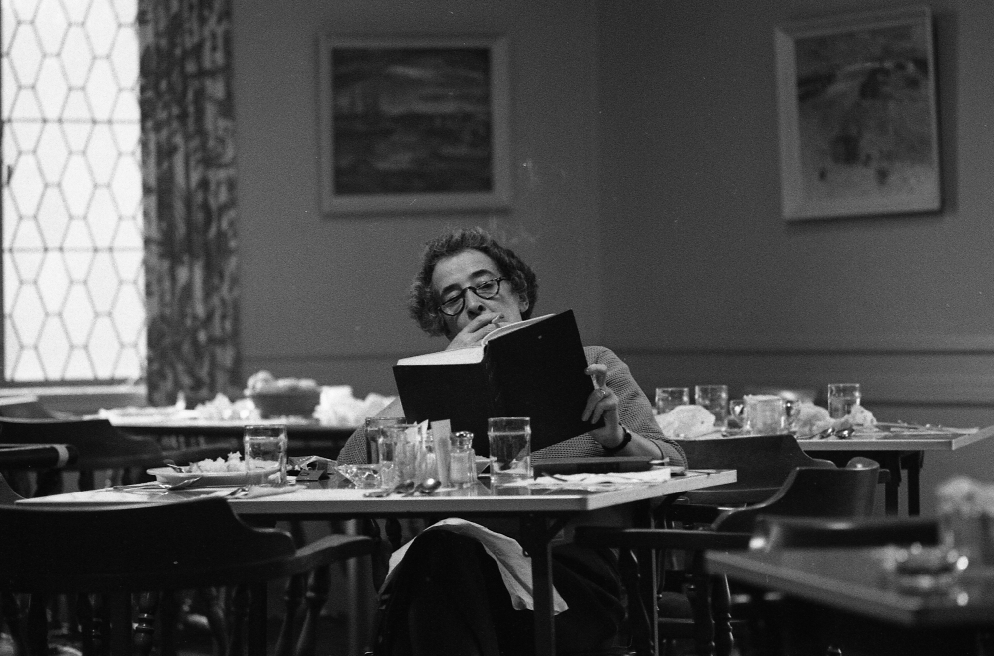 The genius of Hannah Arendt