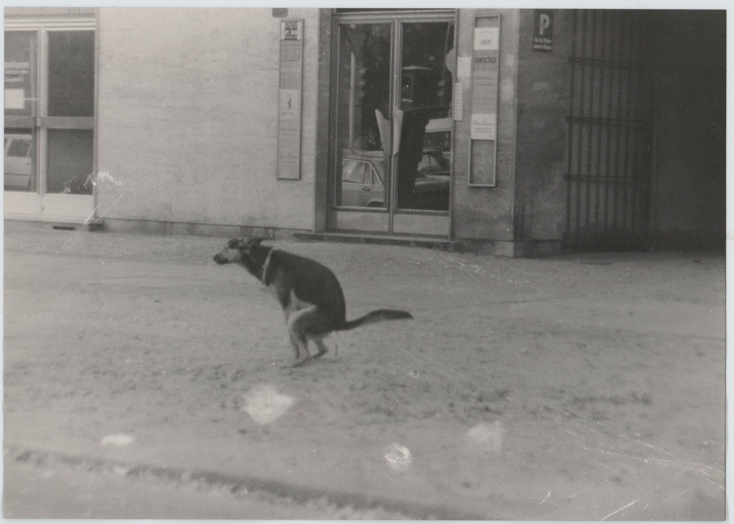 Image for Seven great exhibitions you can finally visit