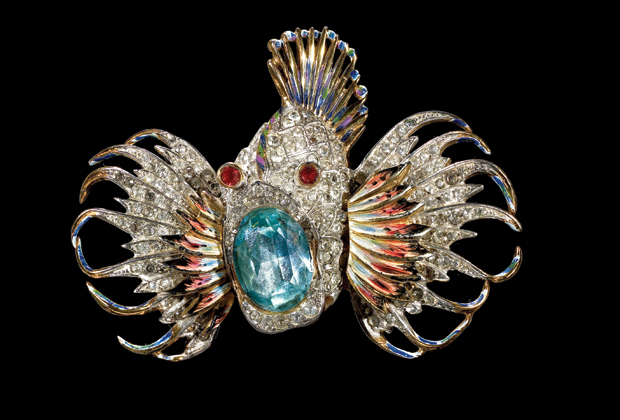 The jewellery snatcher