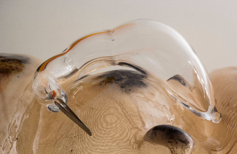 Image for Art under lockdown: The best exhibitions you can see in November