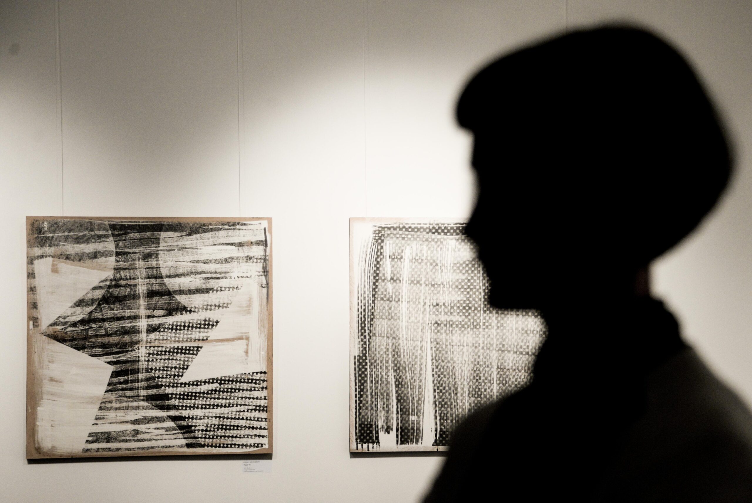 “It’s not about the architecture”: Anikó Robitz and Károly Minyó Szert
