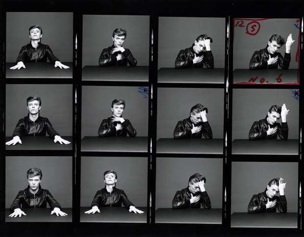 Bowie on display