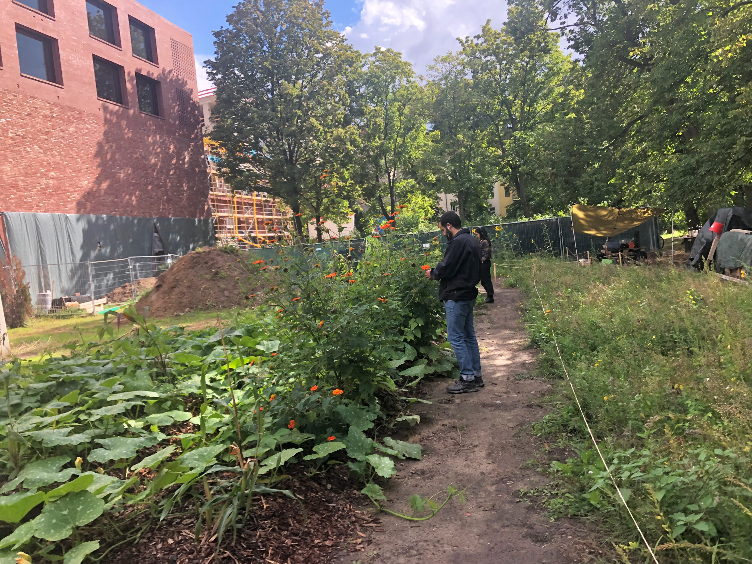 Spore: Ecology and art find a new home in Neukölln