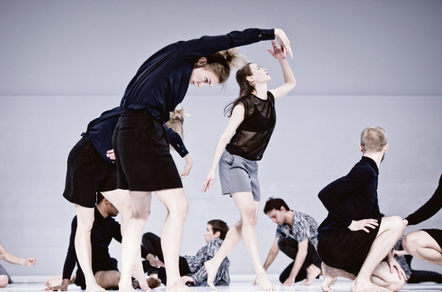 Tanz im August: You should be dancing