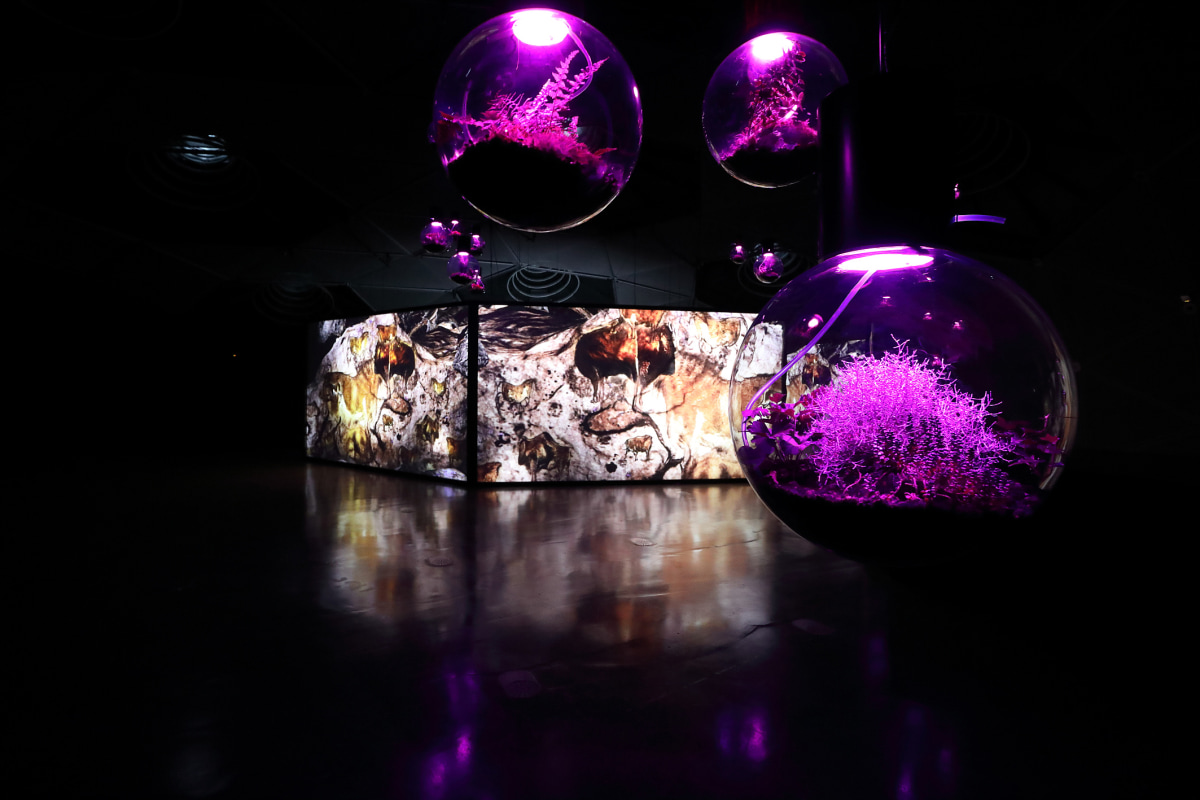 Gallery Weekend: What to see, where to see it