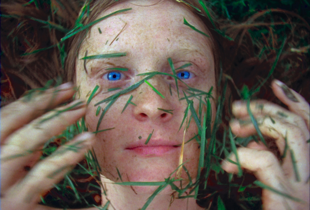 Journey into the wild