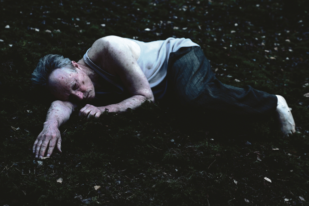 Image for Meaning it, not literally: Omer Fast