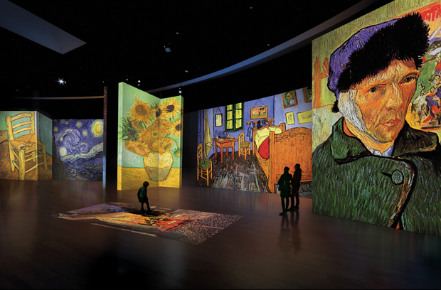 Van Gogh in 3D