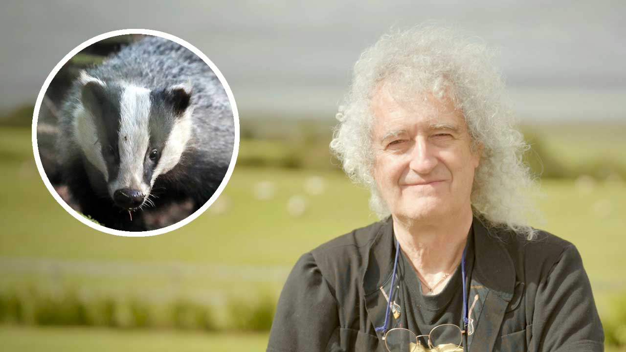 “Imagine how much money is being made here”: Brian May slams the Countryside Alliance for criticising his badger culling documentary