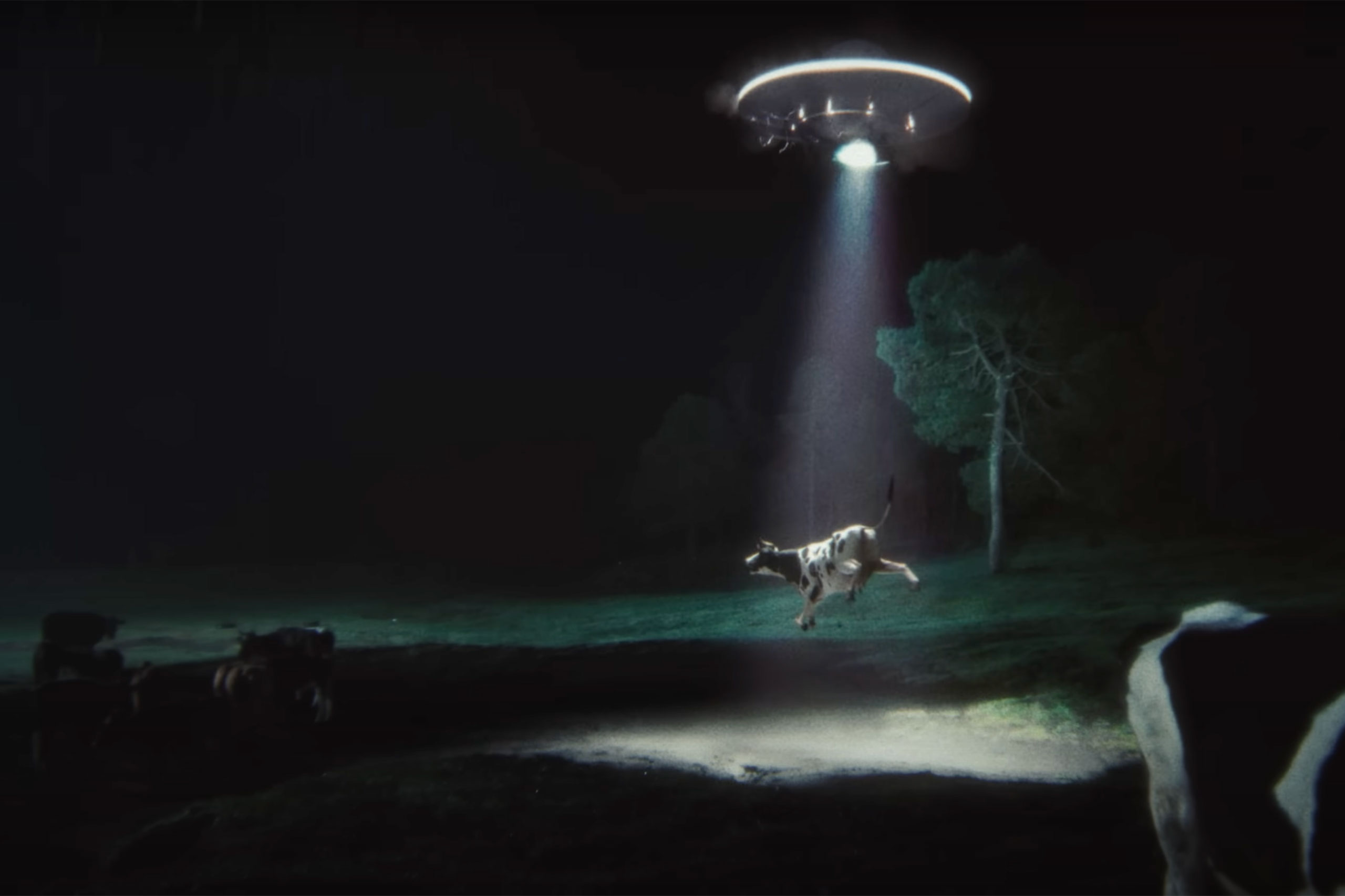 Glass Animals’ new video for ‘Show Pony’ features an unlikely friendship between an alien and a cow
