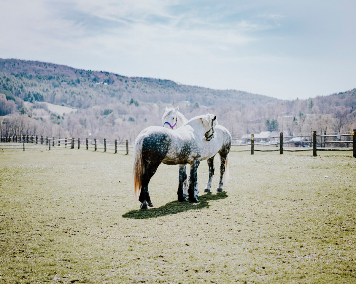 “In the Shadow of the Mountain” by Photographer Kelly Burgess