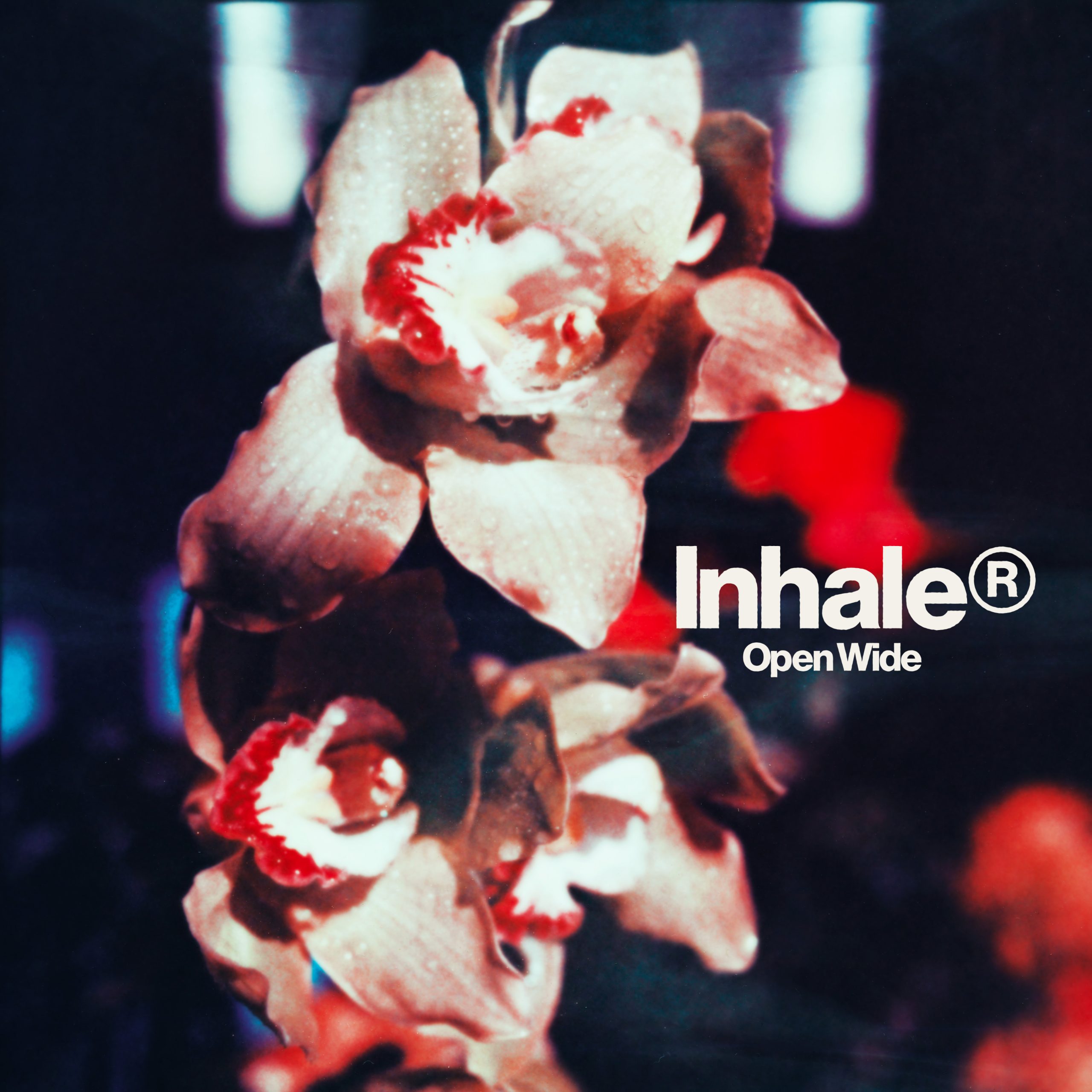 Inhaler – Open Wide