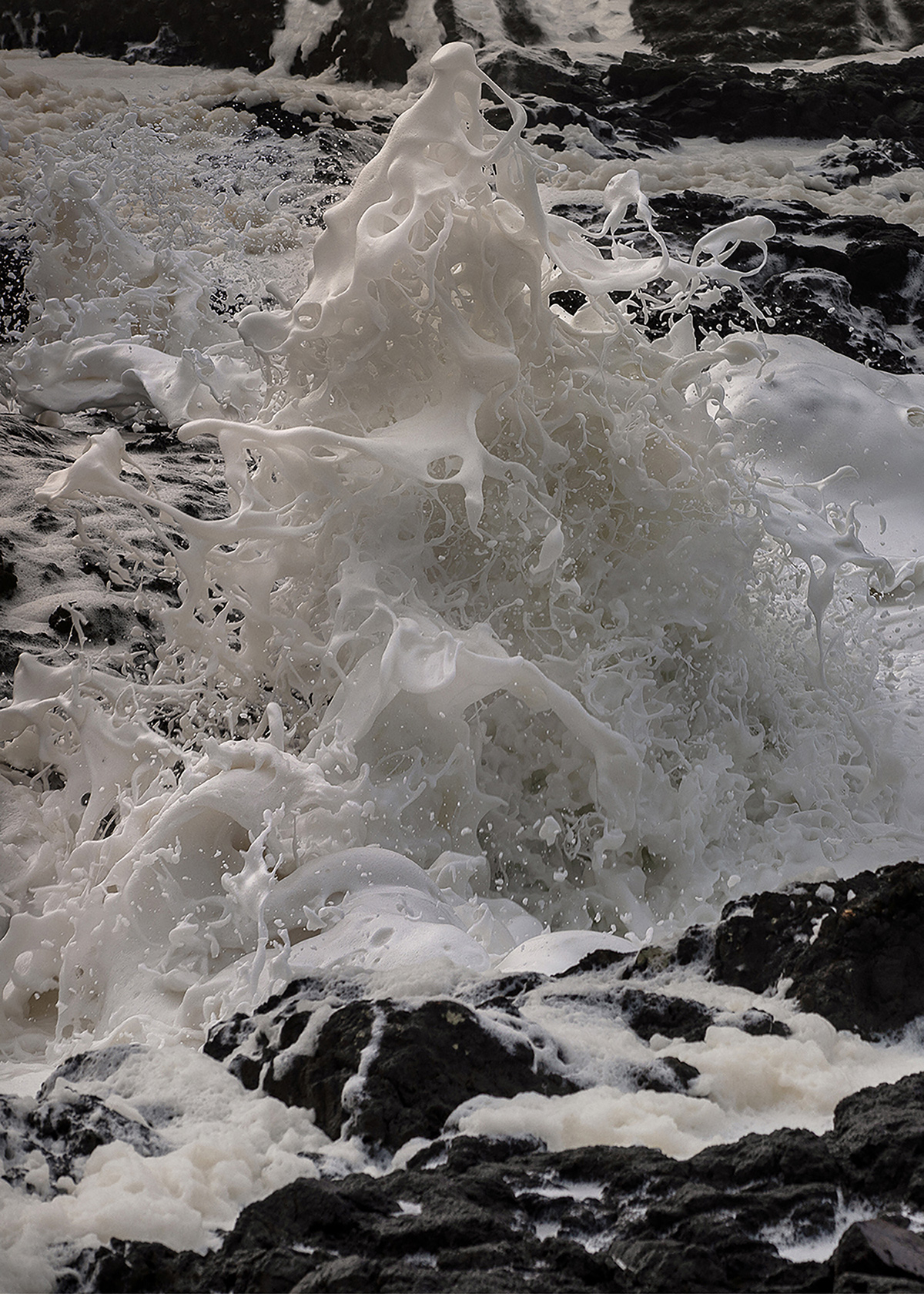 “Strange Nature” by Photographer Delaney Allen