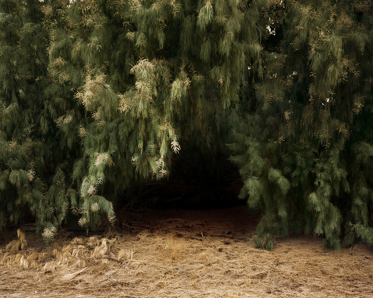 “A Poor Sort of Memory” by Photographer Tracy L Chandler