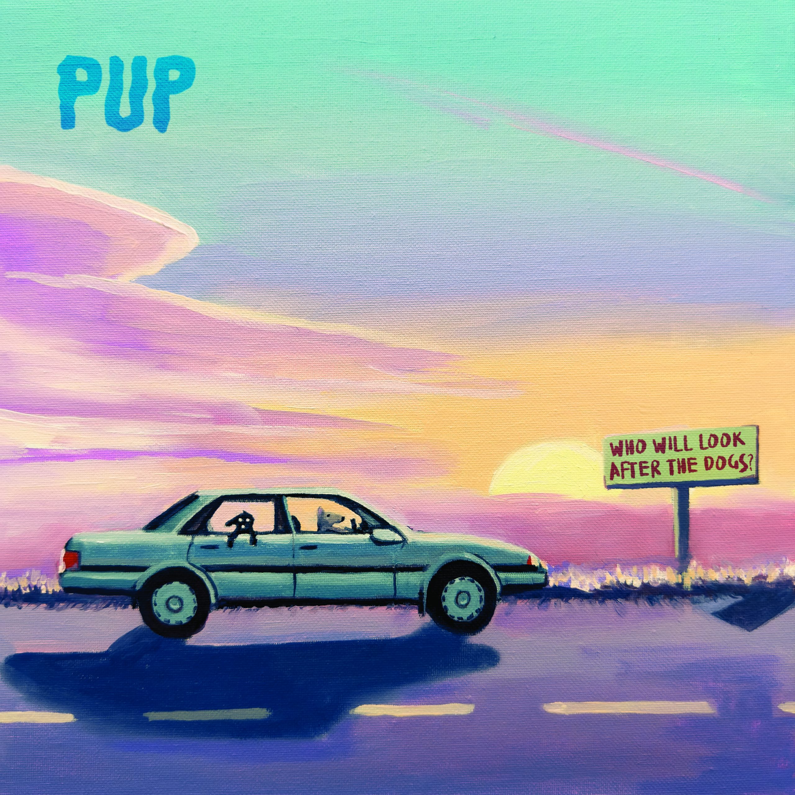PUP –  WHO WILL LOOK AFTER THE DOGS?