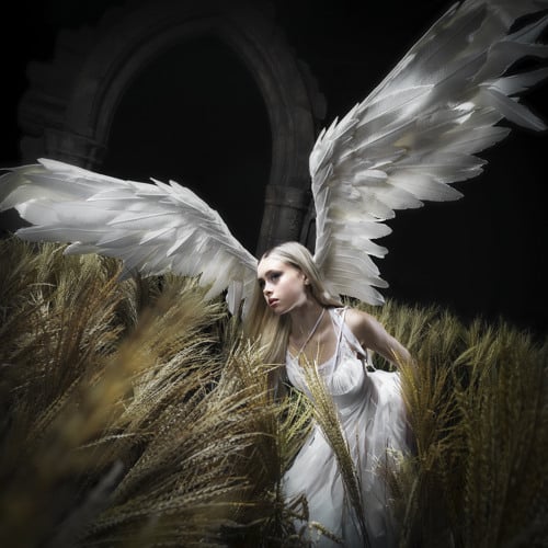 Erin LeCount – I Am Digital, I Am Divine