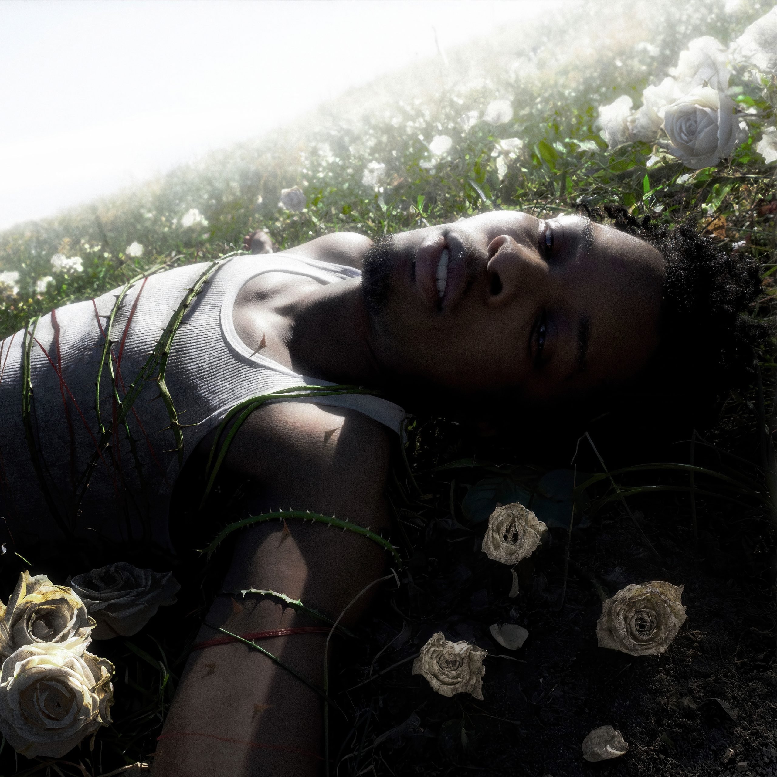 d4vd – WITHERED