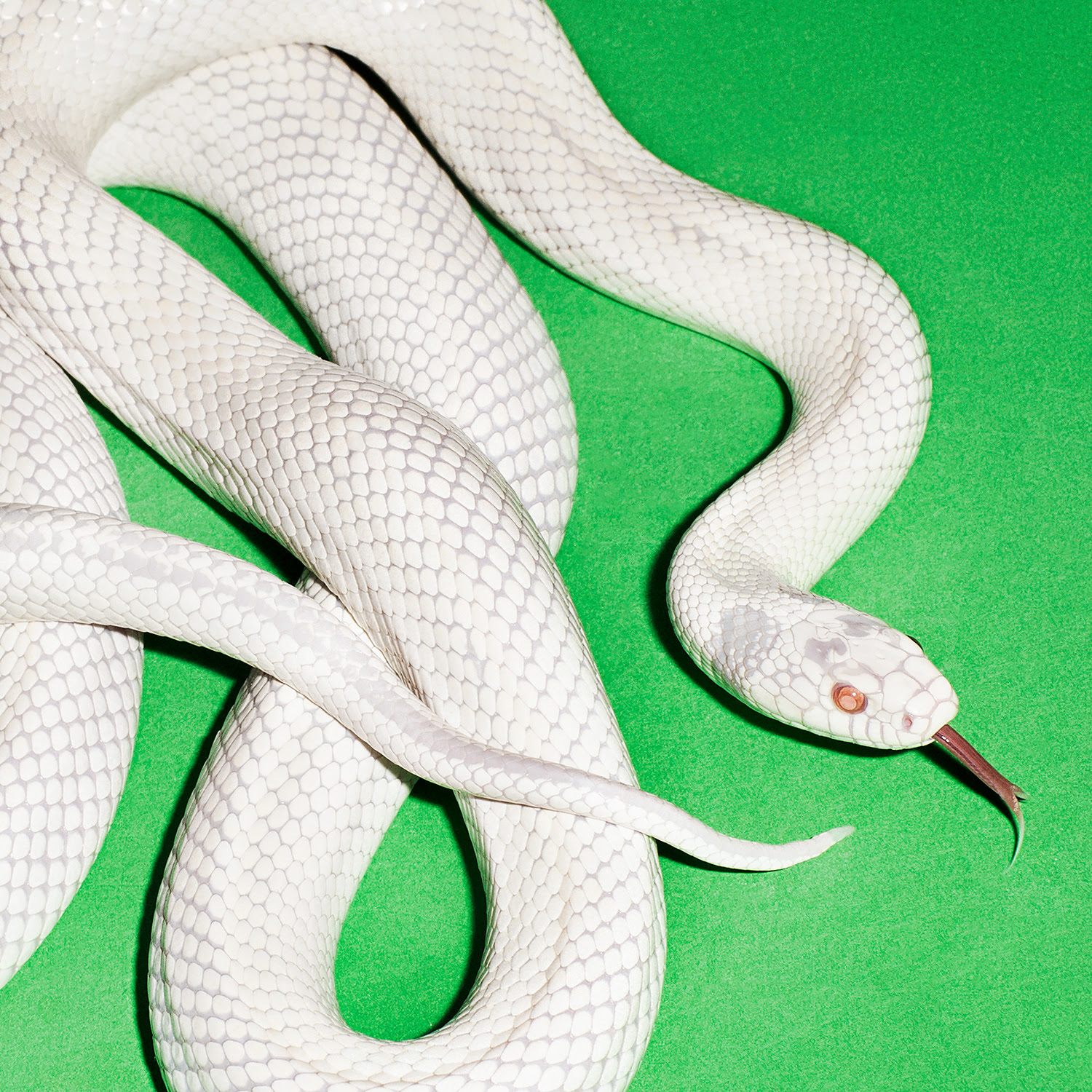 Deftones – Private Music