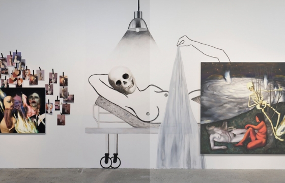 One Thousand Emotions: Ambera Wellmann @ Company Gallery, NYC