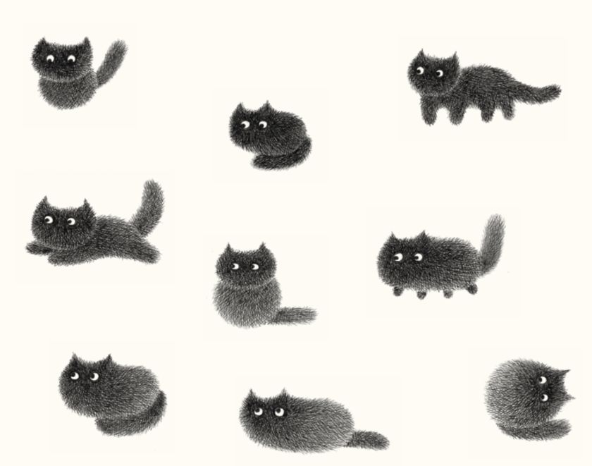 Shibu’s Tail will get you feeling creative