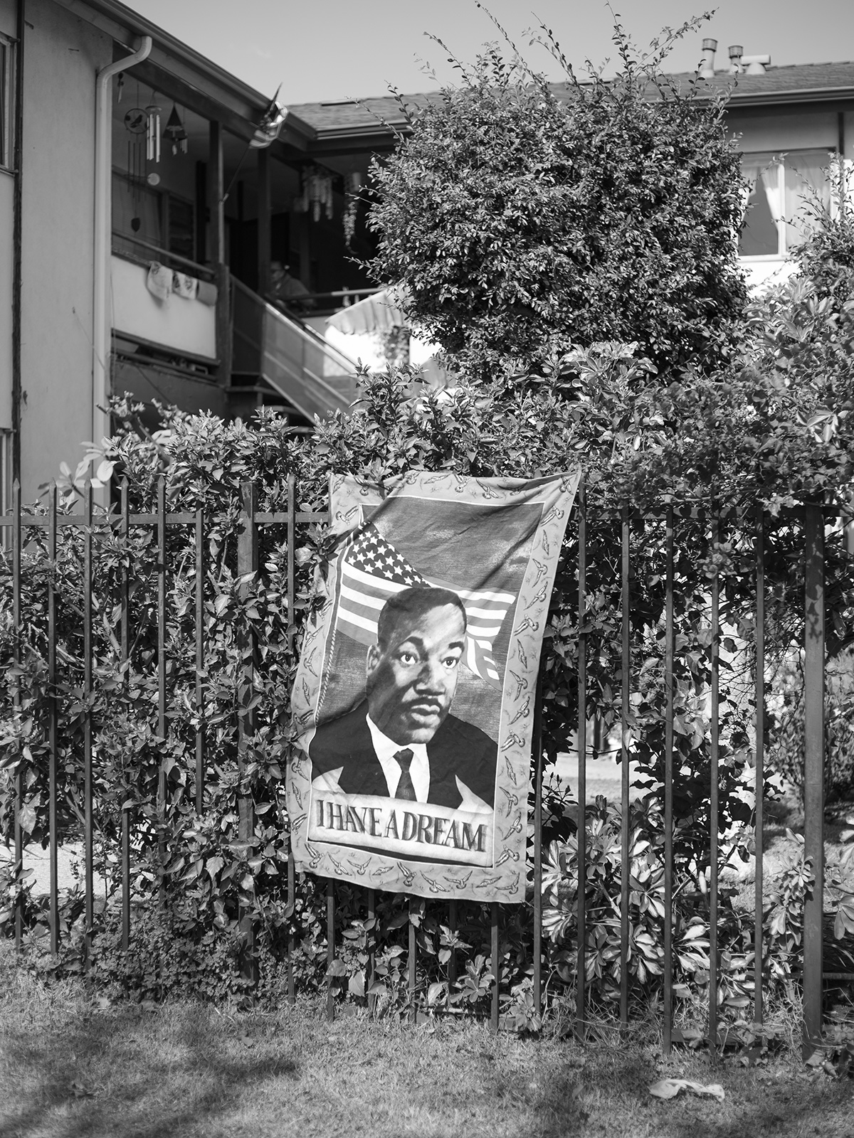 Photographer Spotlight: Christian Lee