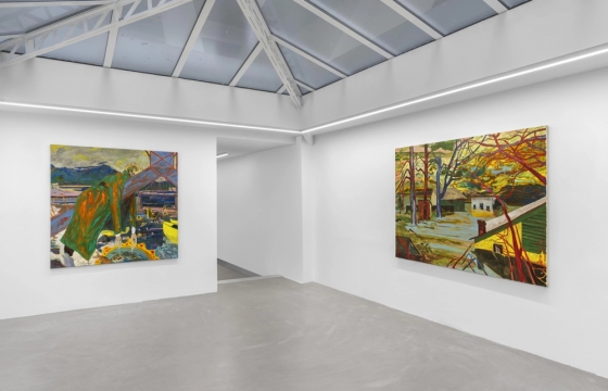 Land Between the Lakes: Blake Daniels @ Bremond Capela, Paris