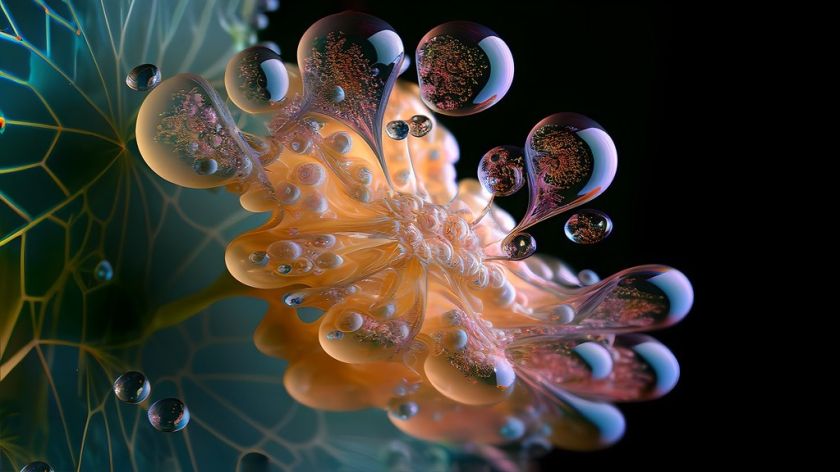 Six surprising illustration trends for 2026