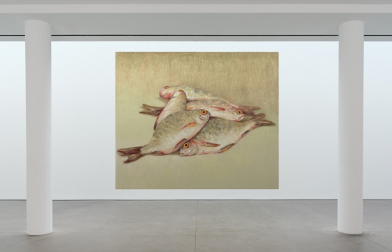 Nicolas Party “Dead Fish” @ Karma, New York