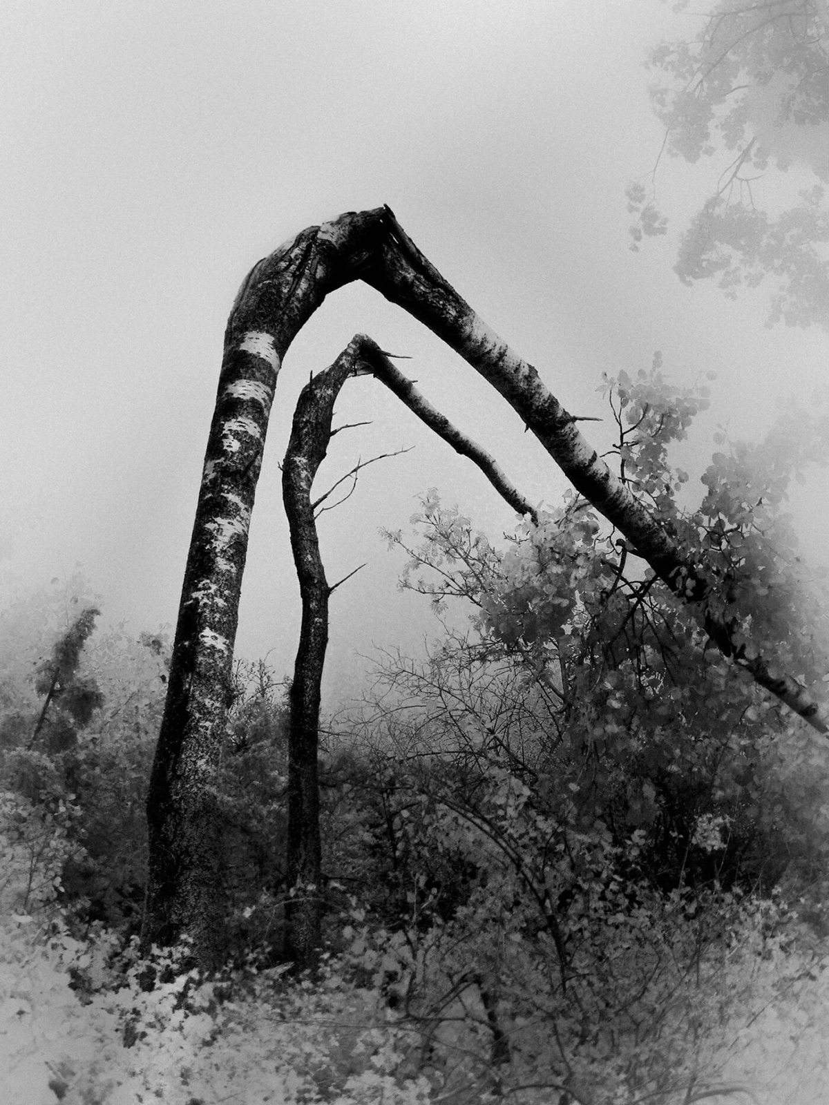 “You can’t enter the same river twice” by Photographer Francisco Gonzalez Camacho