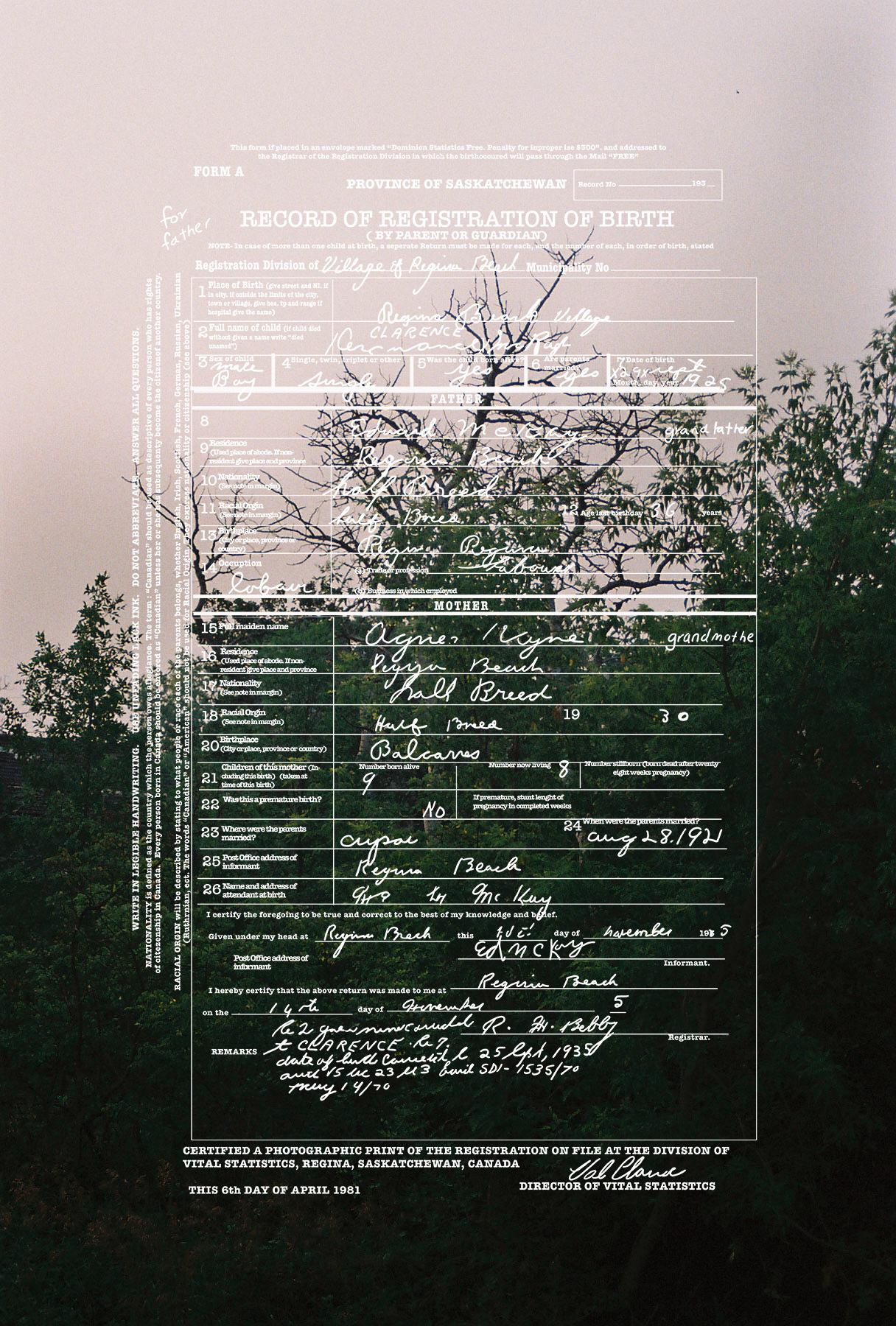 “Halfbreed” by Artist Nahanni McKay