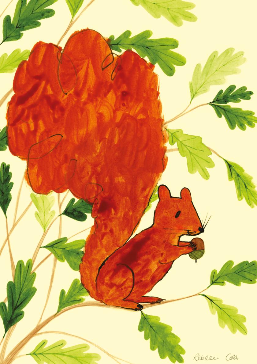 Top children’s illustrators join nature-themed charity exhibition
